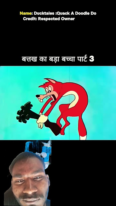 Batab kuttarah lambde ko