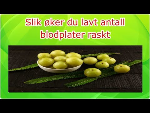 Video: Lavt Antall Blodplater I Katter