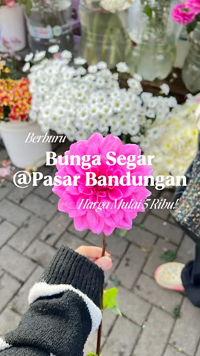 Bunga Segar di Pasar Bandungan #flowermarket #pasarbandungan #bungasegar #pasarbunga #flowers