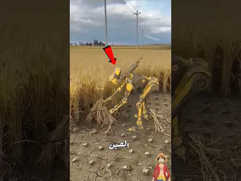 لا تدع والدك يشاهد هذا الروبوت الزراعي