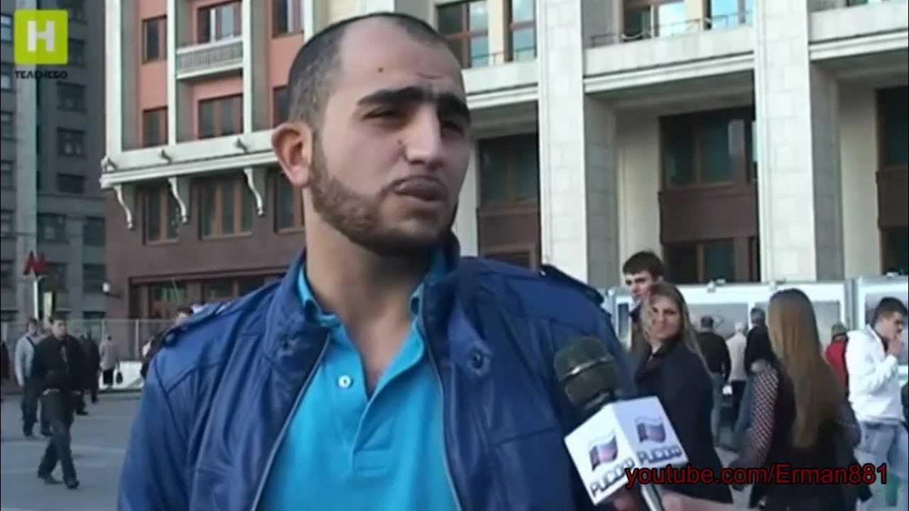 Карибидис про трех друзей. Кавказец сибиряк и москвич. Кавказская овчарка кучум. Кавказец сибиряк и москвич. Трио томми ли джонс.