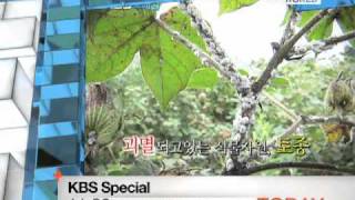 today 413 Kbs Special