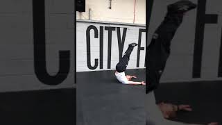 Alternating Single Leg Deck Squats