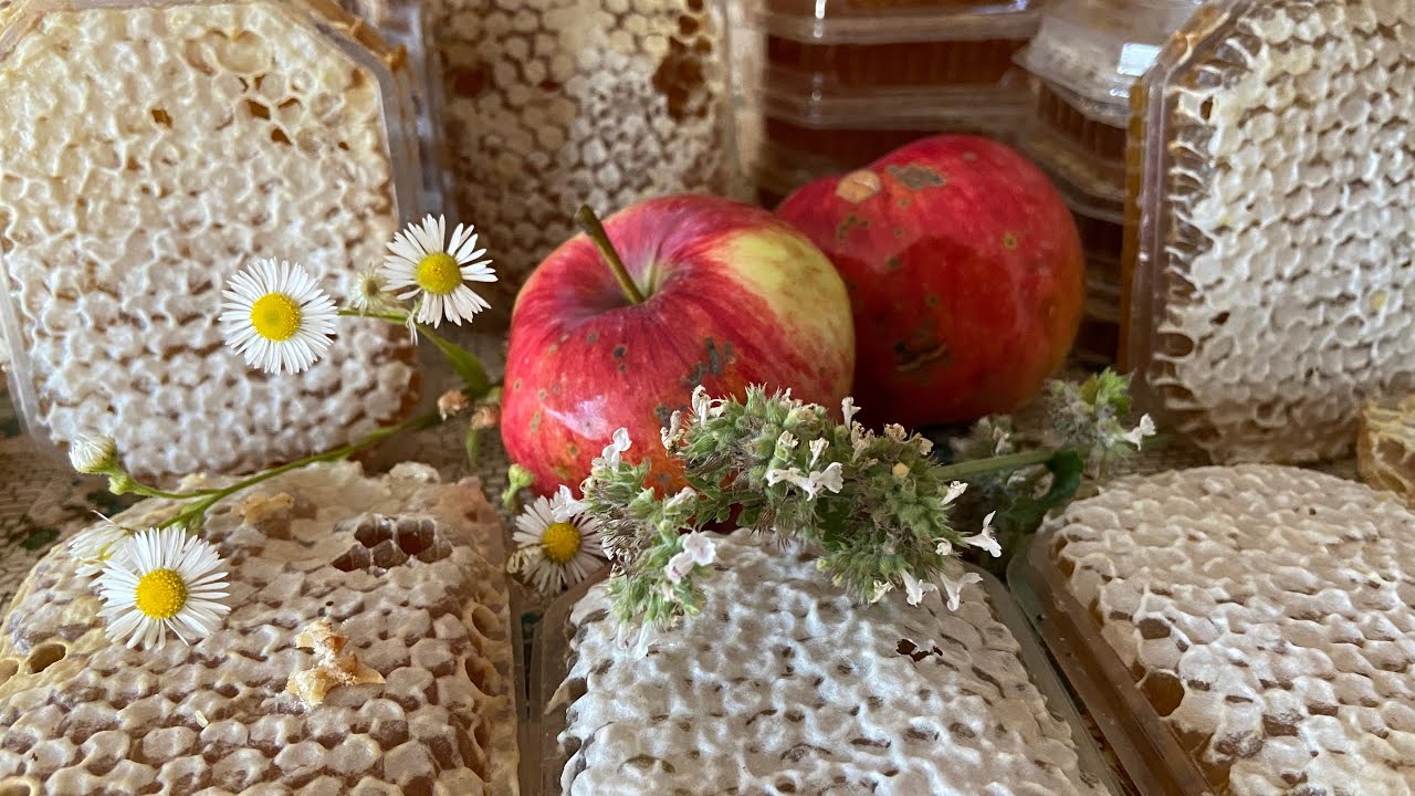 Панский сот - спасибо ВСЕМ пчеловодам… - YouTube