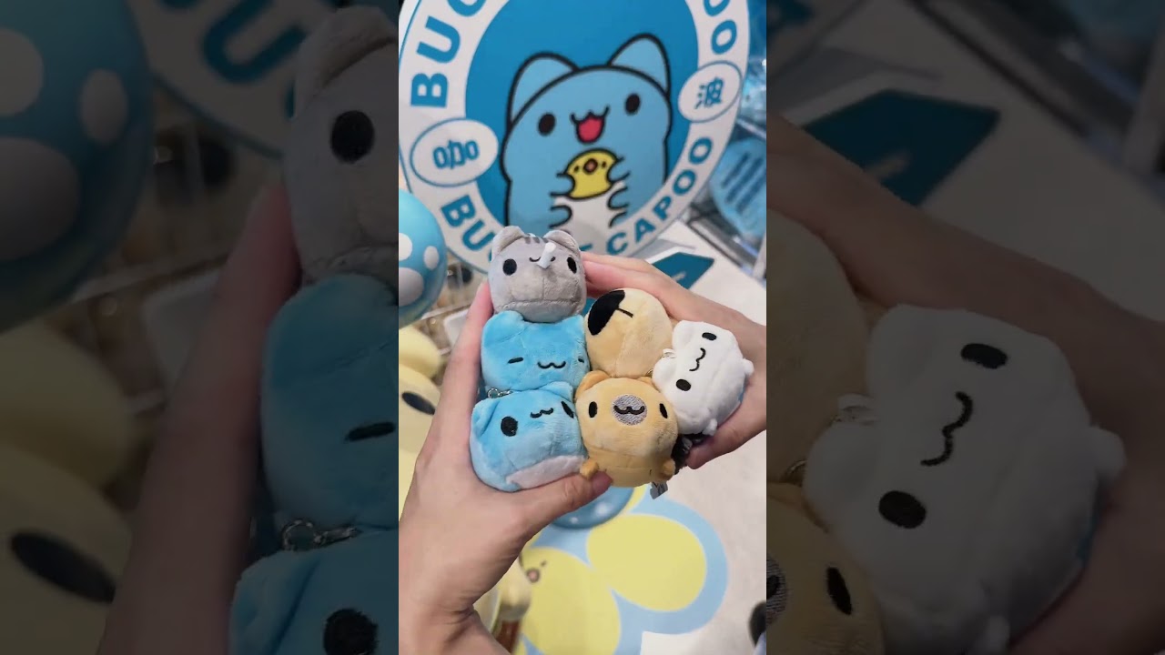 The CAPOO Tokyo Pop-Up is ready! See you all tomorrow! π #capoo #γ«γγΌ