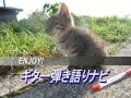 小淵君の犬のうた