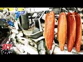 Tahapan Proses Peternakan Salmon Modern Yang Terkenal di Norwegia Yang Menarik dan Luar Biasa