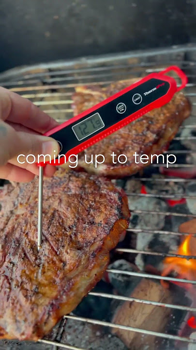 T Bone on the charcoal grill. #bbq #shorts #film #photography #cinematic #youtube #tbone #meat #cook