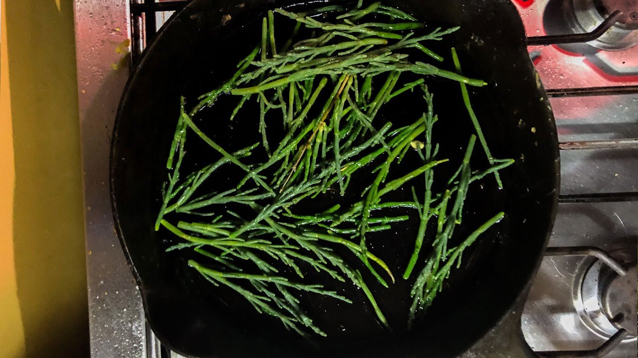 Harvesting and Cooking Sea Asparagus | Bonus Content | The Wayward Life