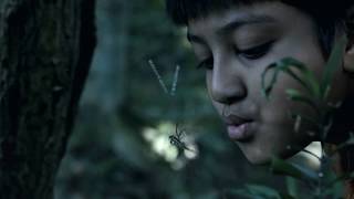'NREE' TEASER