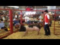 Junior Livestock Auction