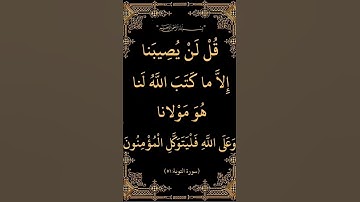 #سورة_التوبة #قرآن #قرأن #قران_كريم #em_lyooy #ماهر_المعيقلي