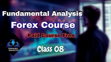 Learn Forex Trading That Actually Makes Money
