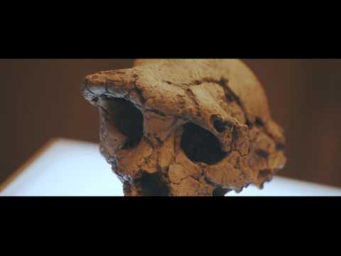 ბაკურ სულაკაურის გამომცემლობა, დავით ლორთქიფანიძე