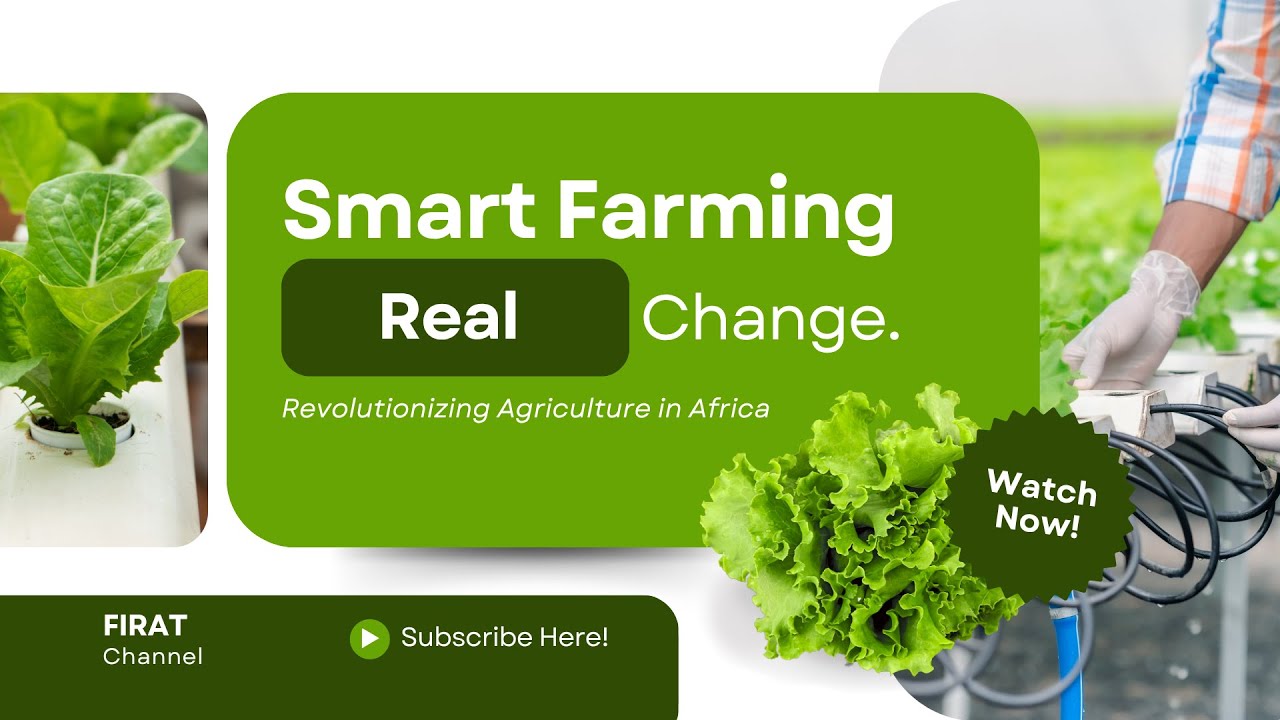 How Agriculture Drives Agenda 2063 & National Development Goals