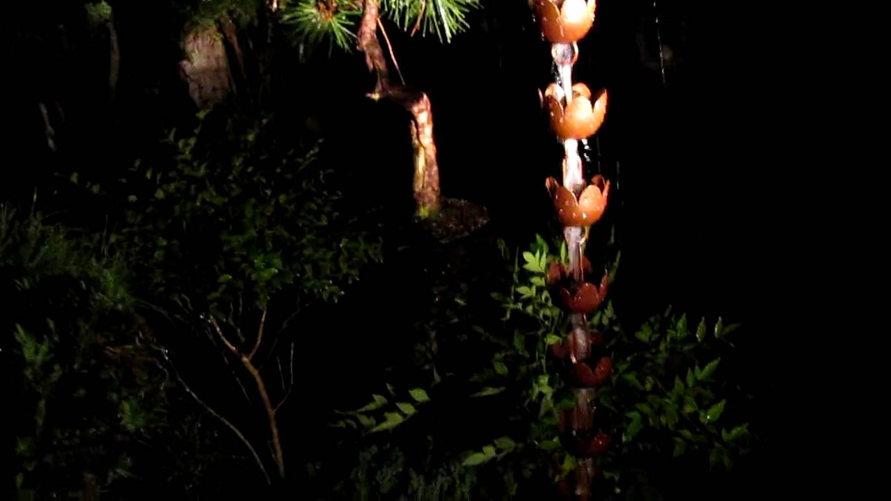 Home garden rain chain in action