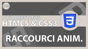 [#51] Découverte du raccourci pour les animations | HTML5/CSS3 & ses frameworks pour les débutants