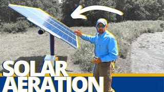 Solar Aeration - How to add pond/lake aeration with no electricity. - Pond and Lake Management