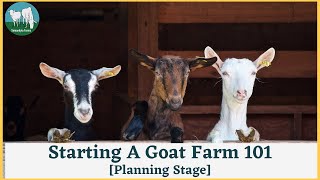 How To Start A Goat Farm In Ghana : Planning Stage