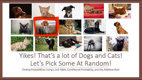 Finding Probabilities Using a 2x2 Table, Conditional Probability, and the Addition Rule