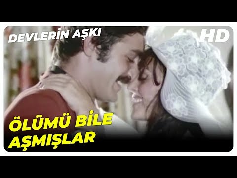 Devlerin Aşkı - Türkan ve Tarık AŞKA Meydan Okudu! | Türkan Şoray ve Kadir İnanır Türk Filmi