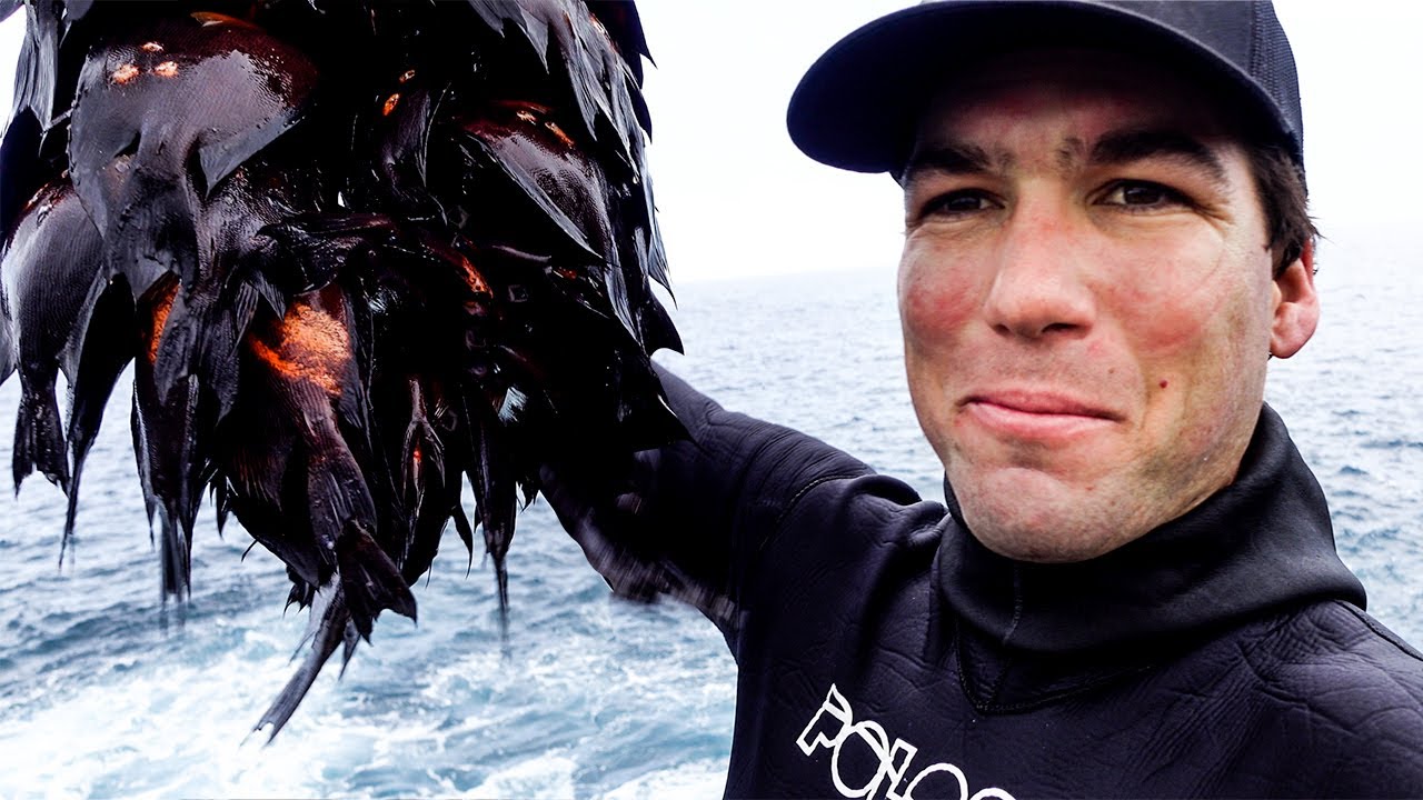 Spearfishing Tiny Fish for Hawaiian Wedding (Archery Sheep Hunt)