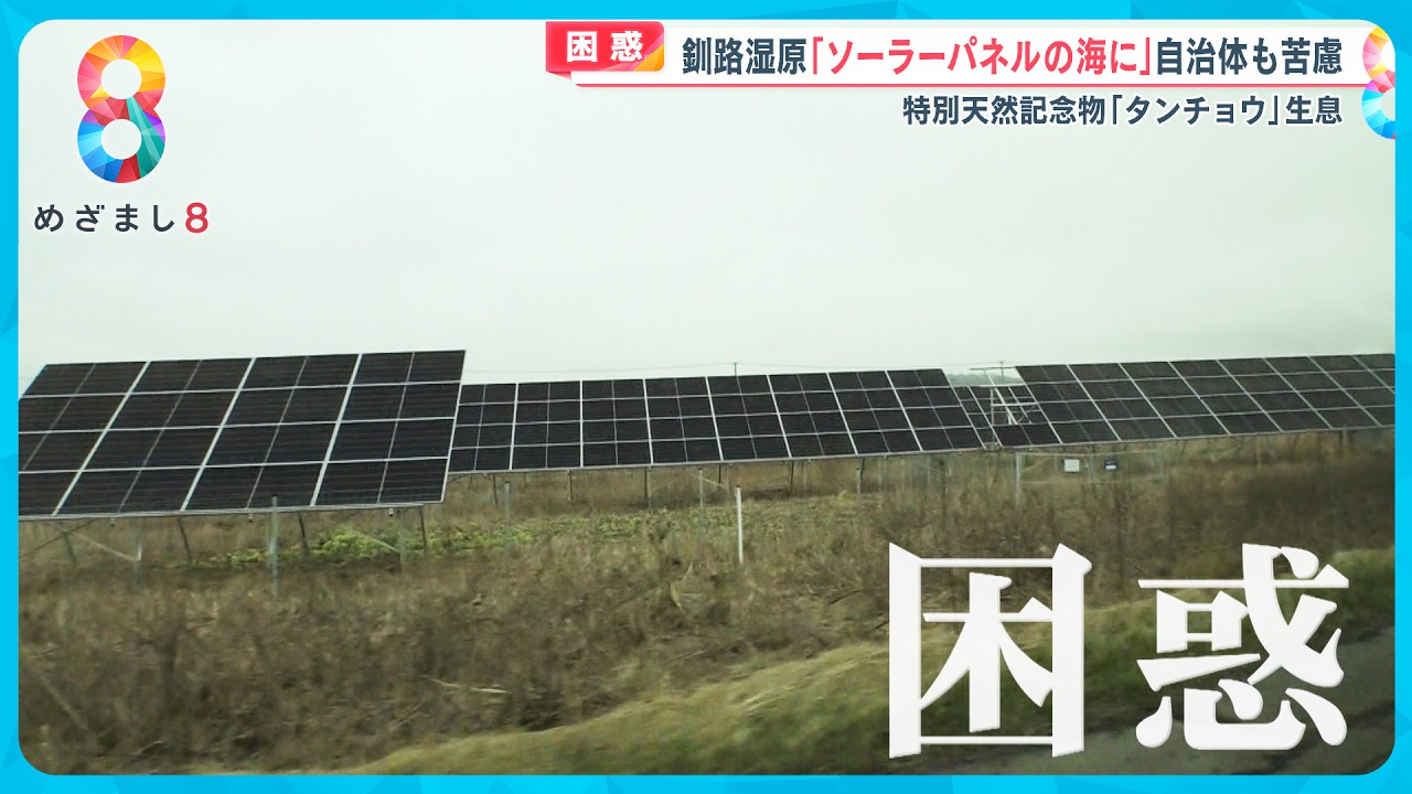 【危惧】自然の宝庫 釧路湿原が“ソーラーパネルの海”に･･･「ヘタをすると絶滅する」【めざまし８ニュース