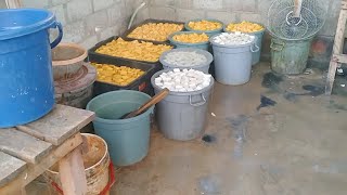 Fried Tofu So That It Expands And Doesnt Break Or Get Damaged  Crumble Easily