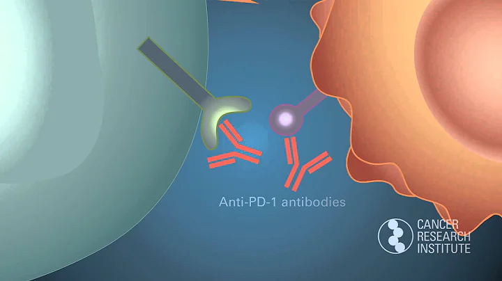 Discovering the PD-1 Checkpoint: Winners of the 2014 William B. Coley Award for Tumor Immunology - DayDayNews