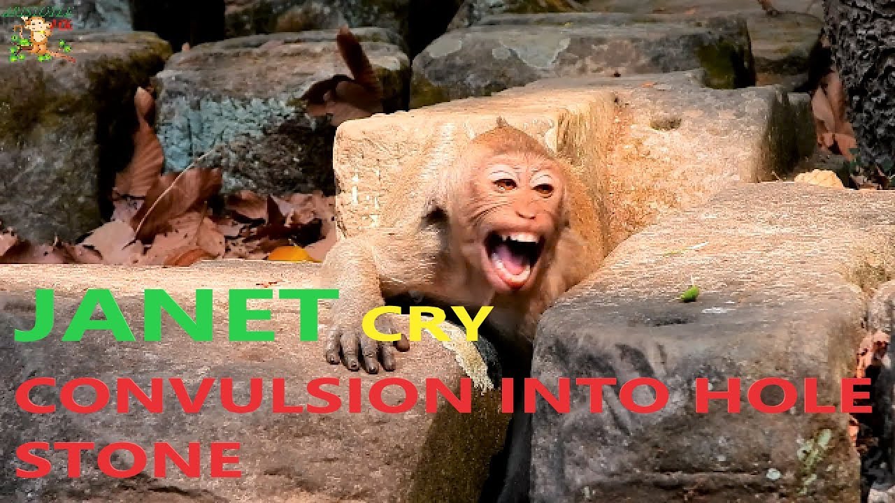 BREAK HEART TO SEEN SMALL JANET CRY LOUDLY HURT - ANGRY MOM JANE BITE CUZ SMALL FRUIT |