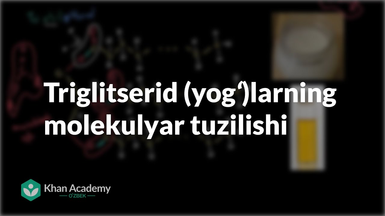 Triglitserid (yogʻ)larning molekulyar tuzilishi | Uglerodning xususiyatlari | Biologiya