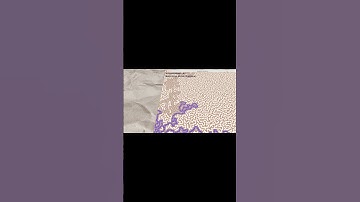 Watch the full video on my channel! #ai #python #coding #programming #algorithm