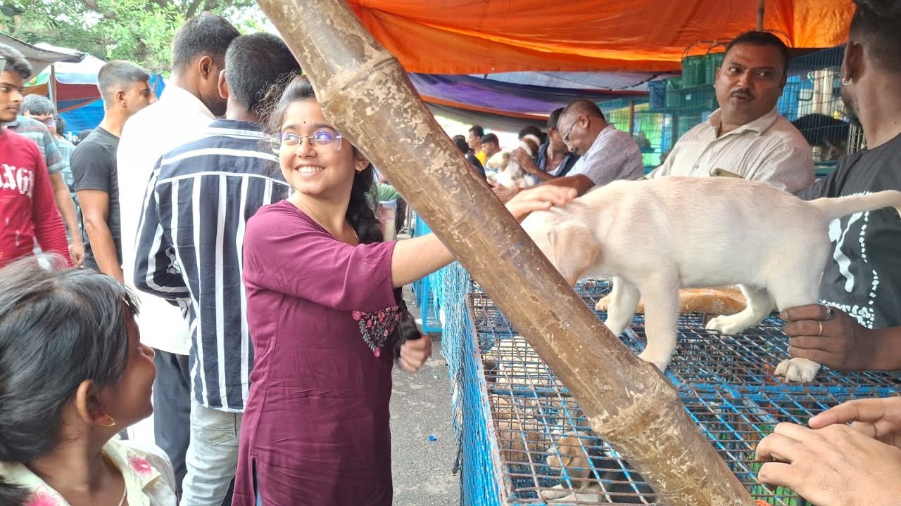 Exploring Galif Street Haat Again! 🛒✨