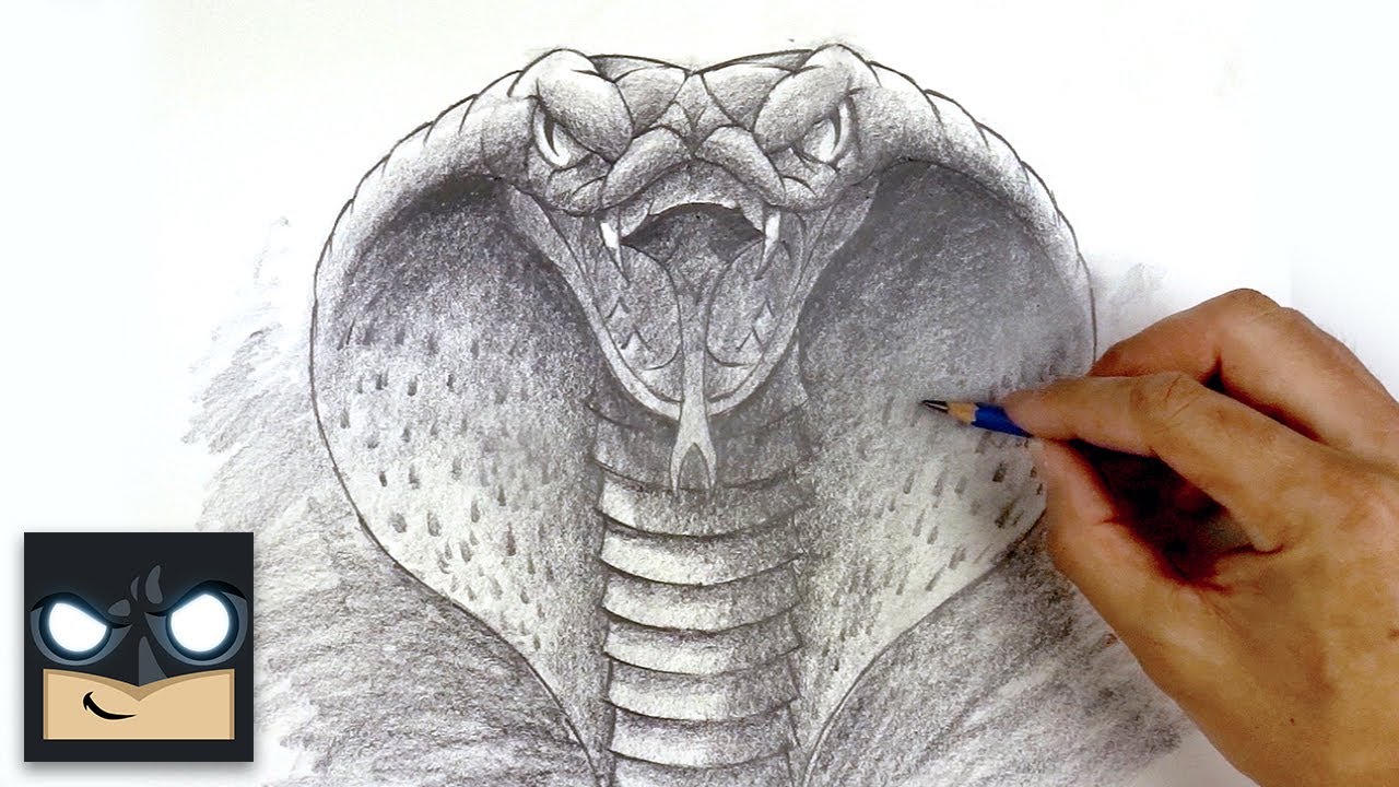 How To Draw A Snake | Reptile Sketch Tutorial - YouTube