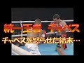 【怒りのチャベス】統一世界S.ライト級王者 フリオ・セサール・チャベス vs ジョン・デュプリシス🥊　73戦全勝60KO　Julio César Chávez vs John Duplessis