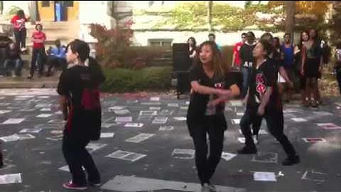 Kappa Phi Lambda - Yard Show 2010 cont.