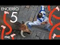 QUINTO ENCIERRO de San Fermín 2022 | Toros de Cebada Gago