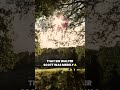 Ghost Stories of the Scottish Borders | Sir Walter Scott: Fact or Fiction?