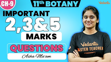 11th Botany | Chapter 9 Important 2, 3 and 5 Mark Questions | 2nd Mid Term | Asha Ma