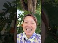 S Corp Salary Checklist 5 Steps To Stay Audit Ready SC6 S2
