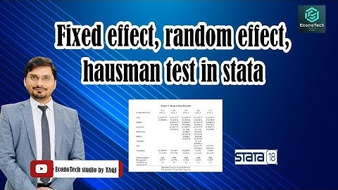 Performing the Hausman Test for Fixed and Random Effects in Stata
