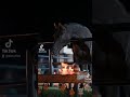 جريت صوتي تالي الليل جره