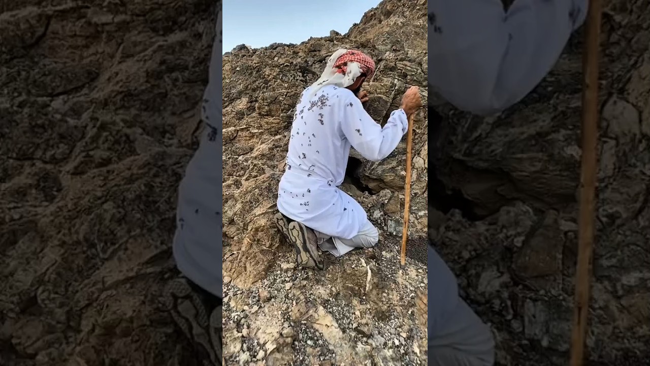 Panen Madu Liar Ala Suku Baduy‼️ Masyaallah