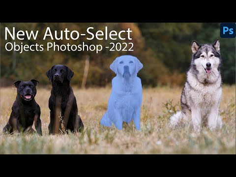How To Use New Object Finder Features In Photoshop 2022