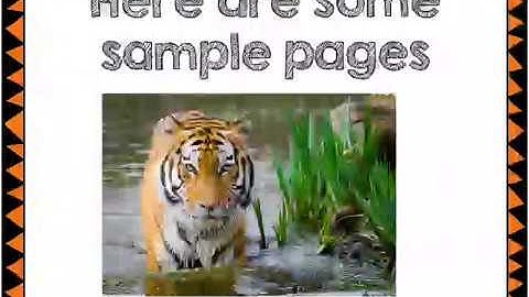 Non-chronological Reports - The Tiger