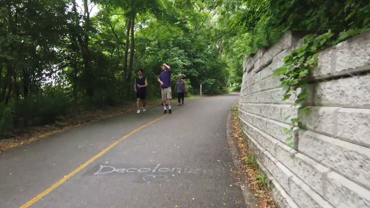 4K Canada Day Walk 🇨🇦🌳 Harris Park, London, Ontario, Canada