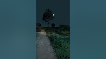 سورة الذاريات بصوت خاشع وجميل - حاتم فريد الواعر