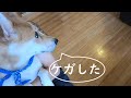 ケガを舐めないようにするにはどうするのが良い？