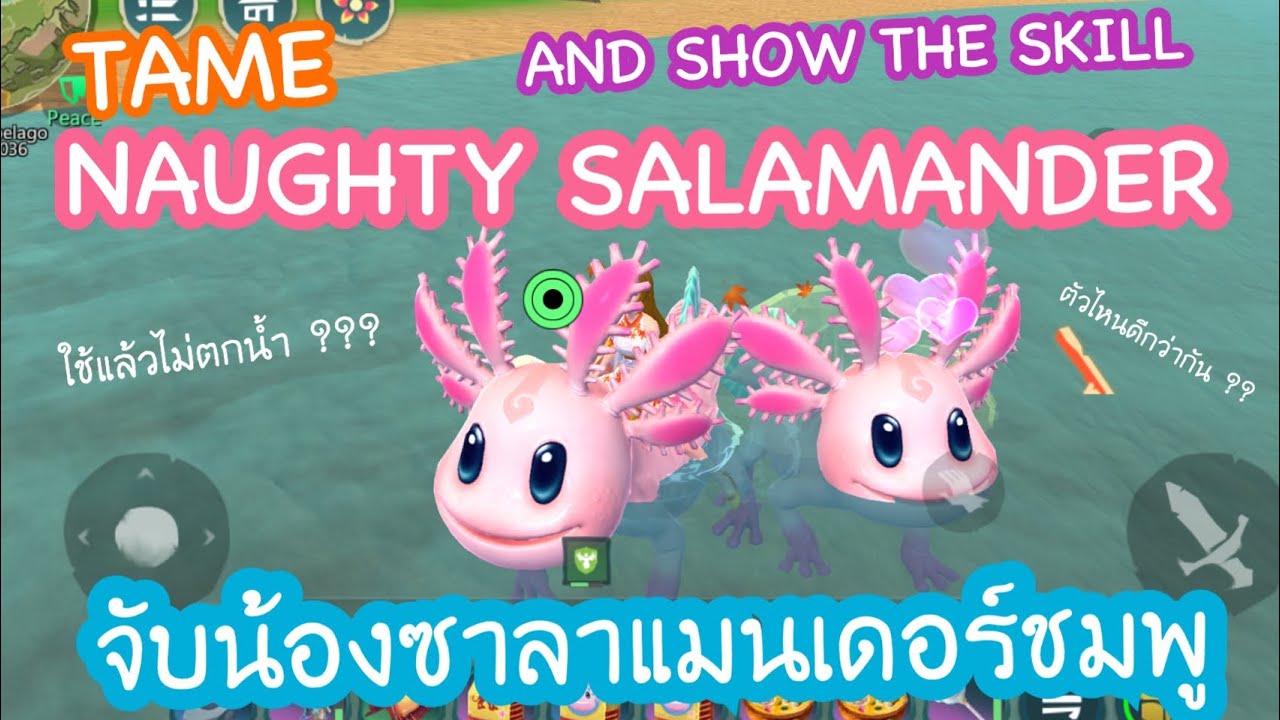 PCHA GAMER จับซาลาแมนเดอร์ สูตรอาหาร จุดเกิด สกิล UTOPIA ORIGIN