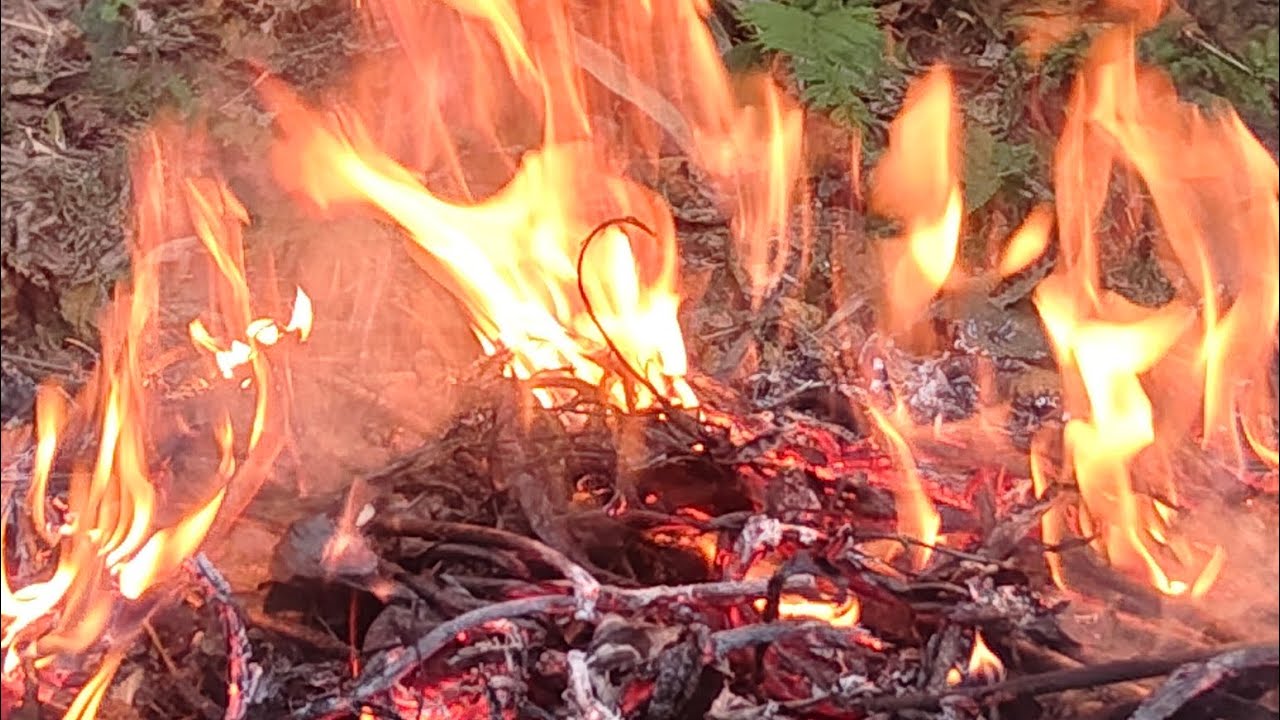 liveHebrews 12:29 for our “God is a consuming fire.”